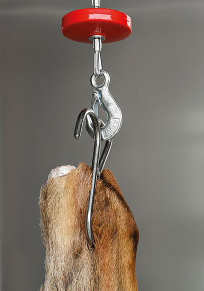 Stainless Steel S Hook with Ring