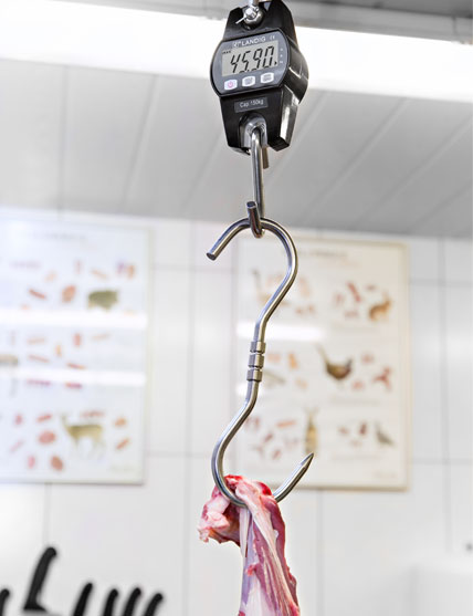 Stainless Steel Swivel Hook