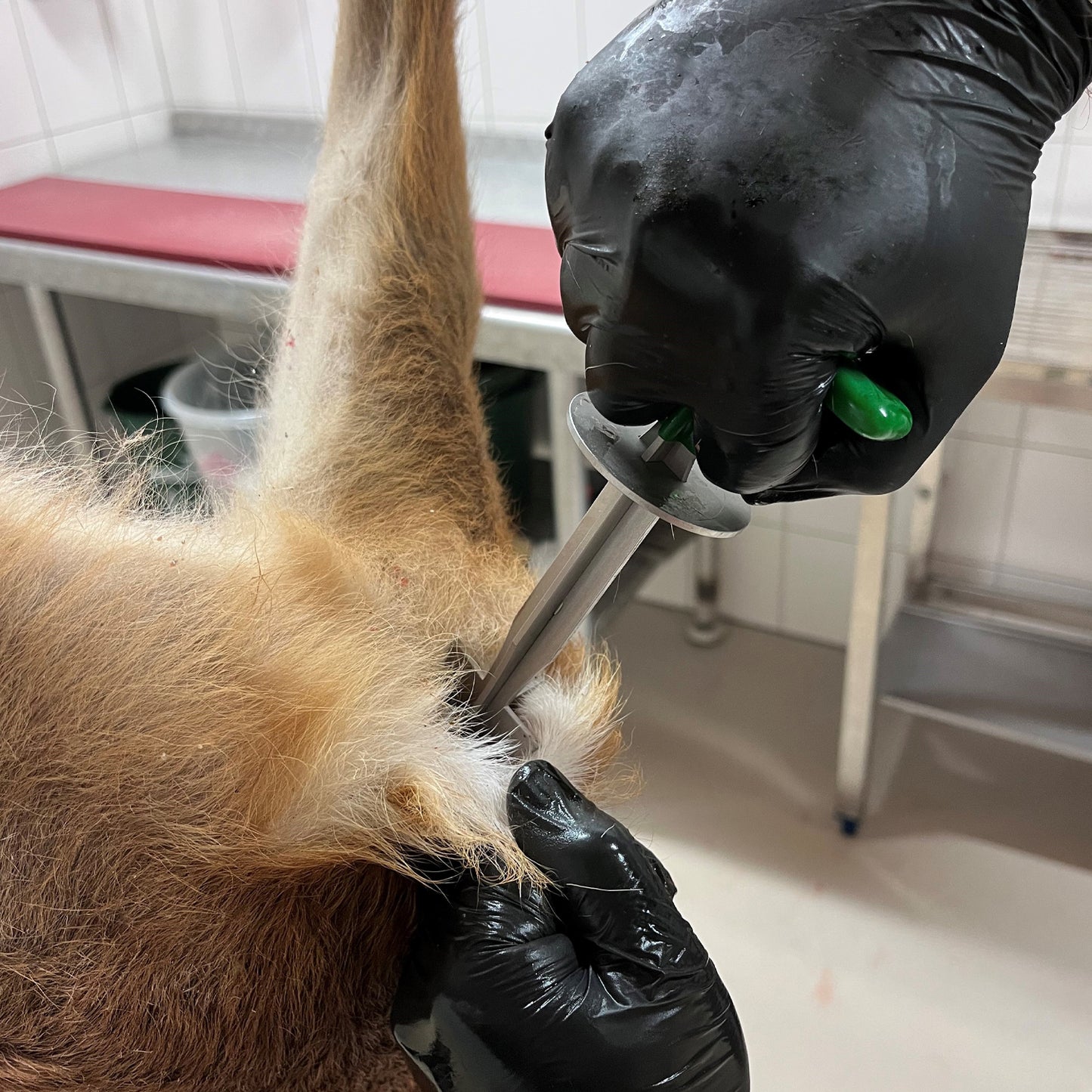 Z33061 Butt Out Tool Stainless Steel