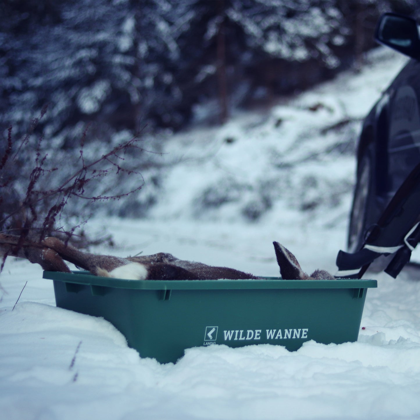 Wilde Wanne Game Tray