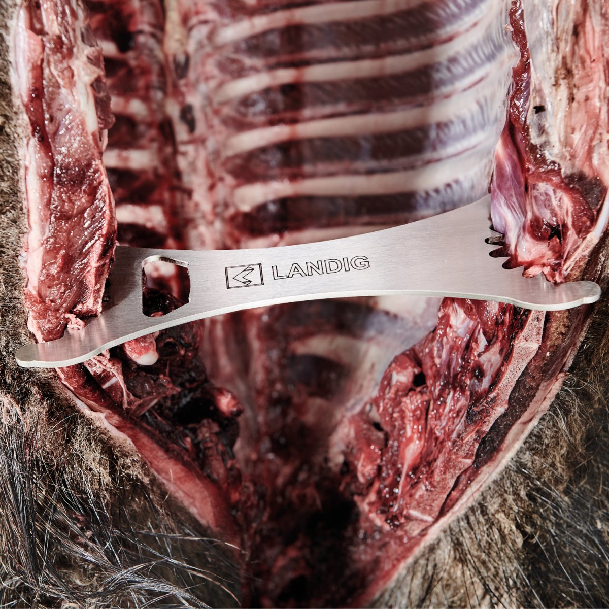 Compact Game Spreader