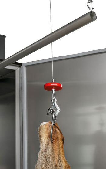 Electric Winch 400 kg