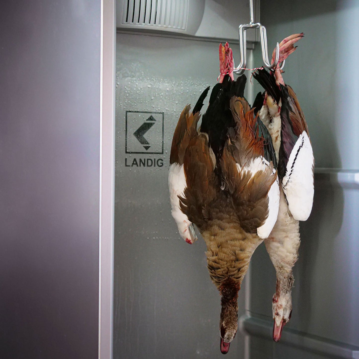 Special Rotating Hook 4-fold, 300×8 mm, 80 kg