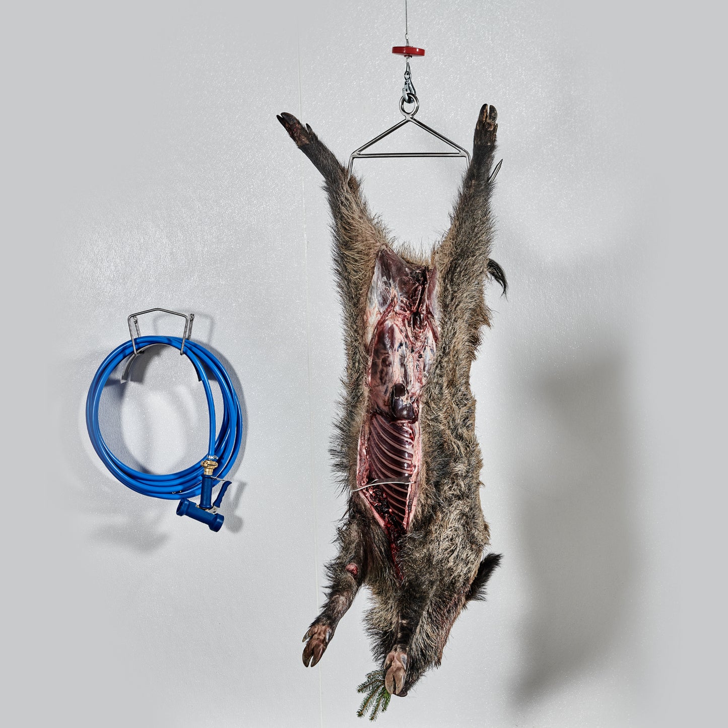 Stainless Steel Hanger