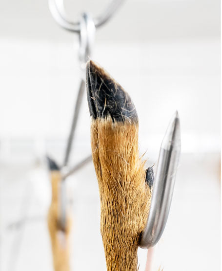 Stainless Steel Hanger