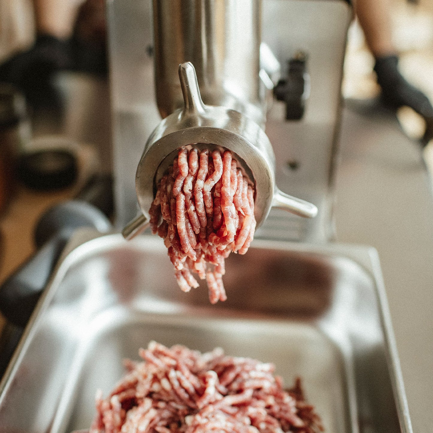 FL0300D Mincer WD 300